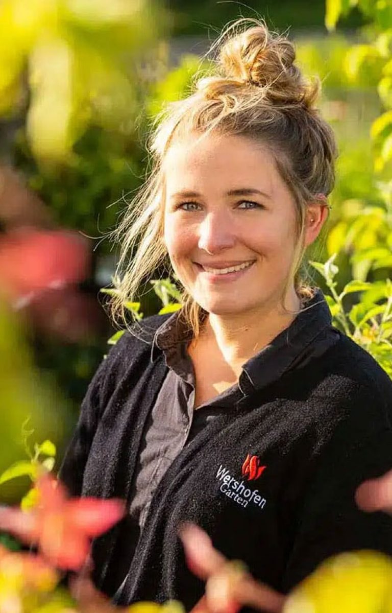 Stephanie-Lingen